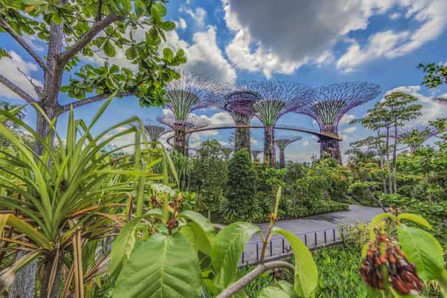 The Top 20 Must-Visit Places Singapore